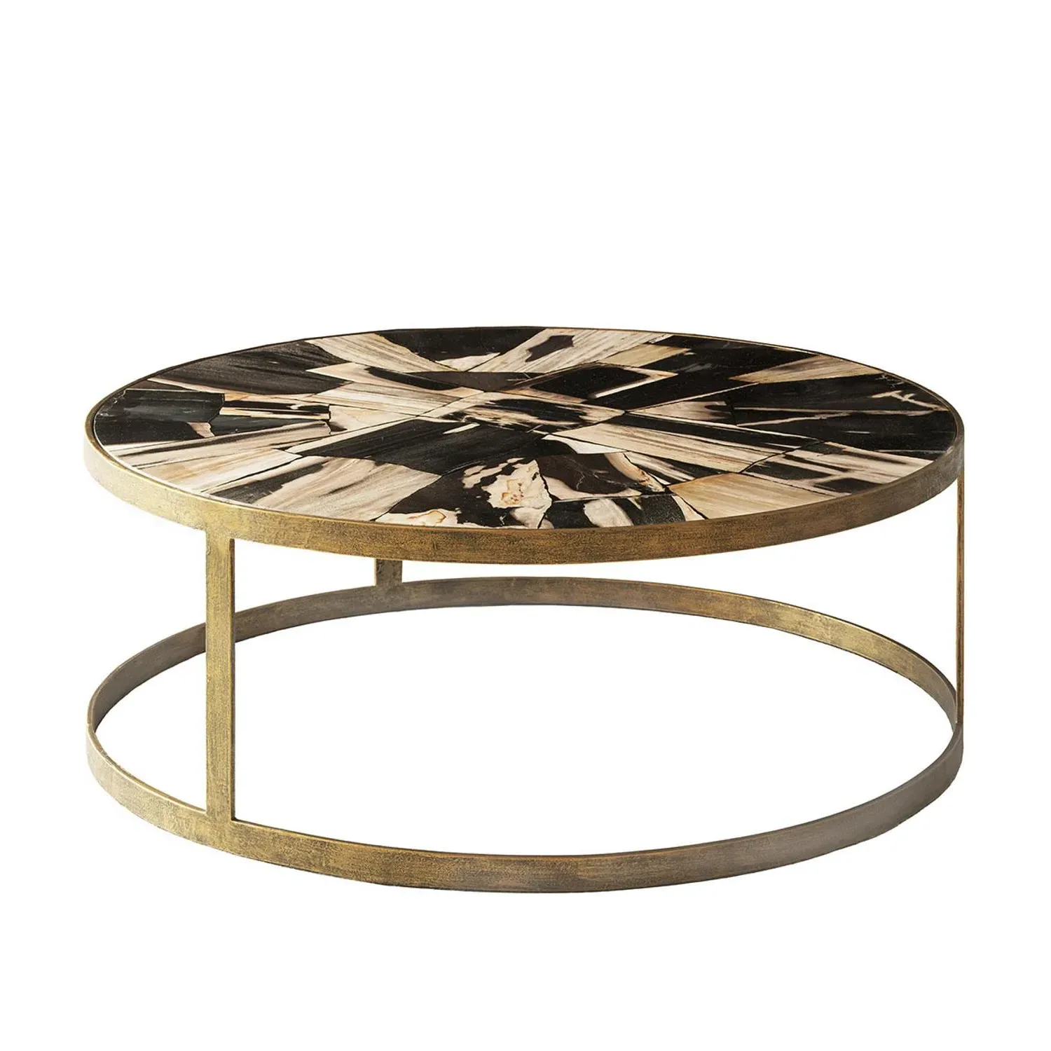 Carlos Coffee Table - Antique Brass, Petrified Wood product