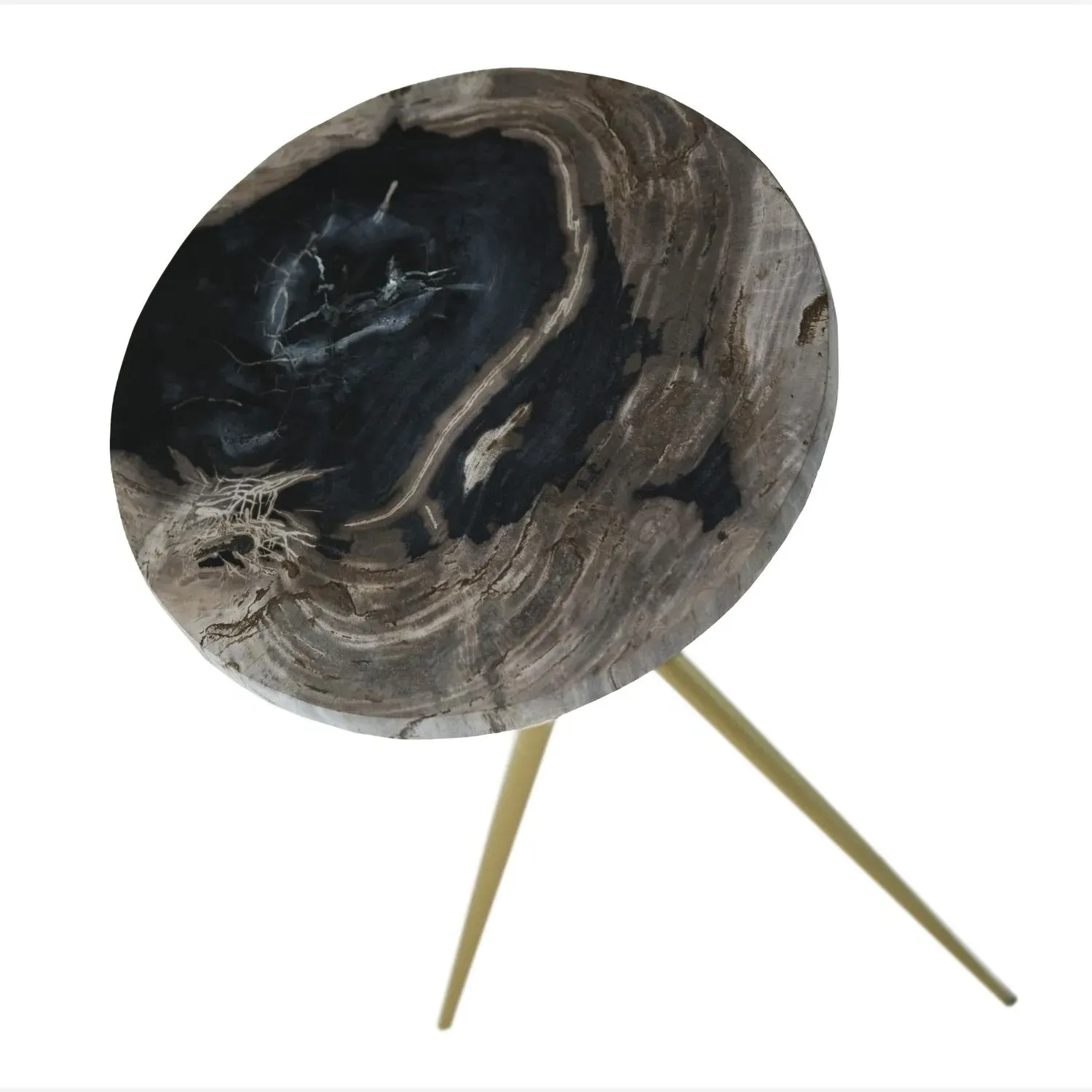 Round Side Table - Natural, Petrified Wood alternate view