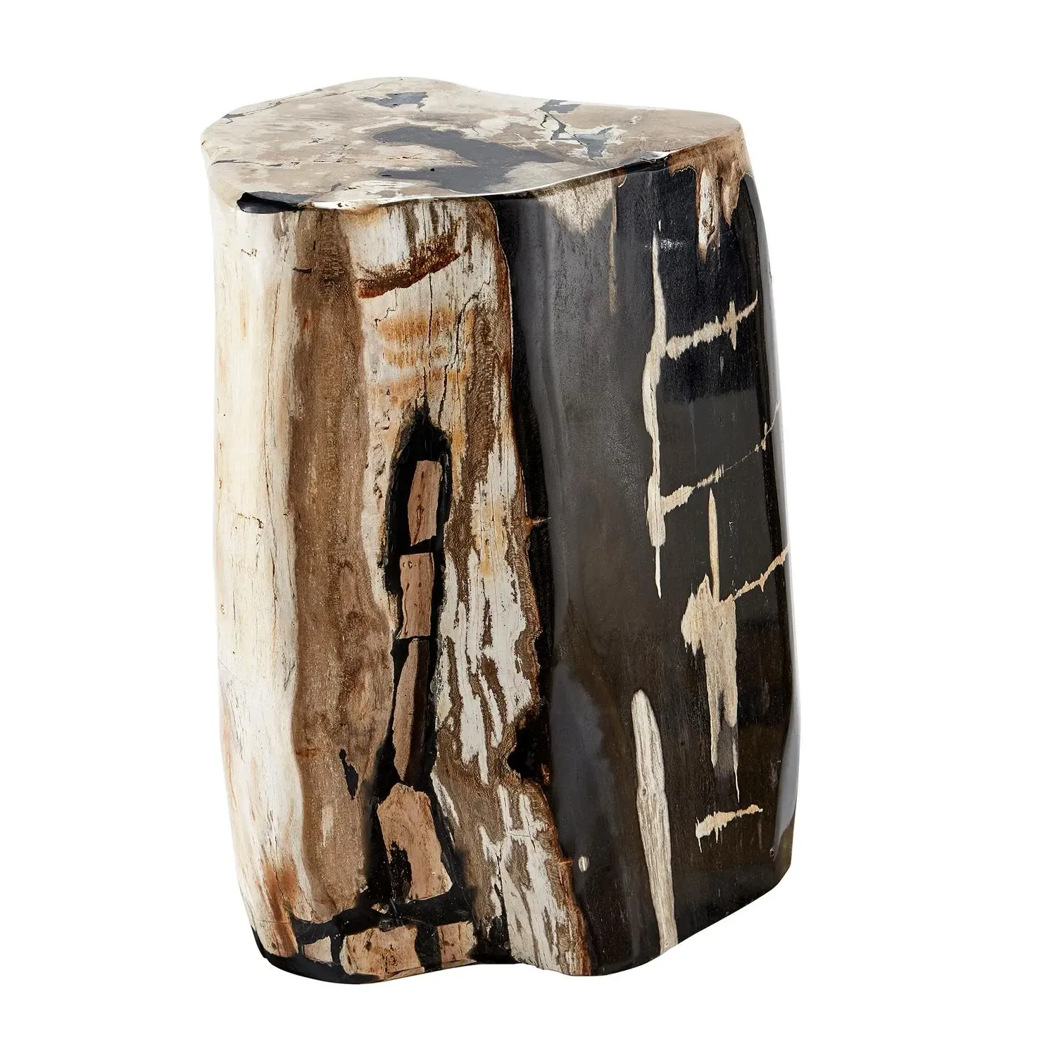Petrified Log Side Table - Natural, Wood product