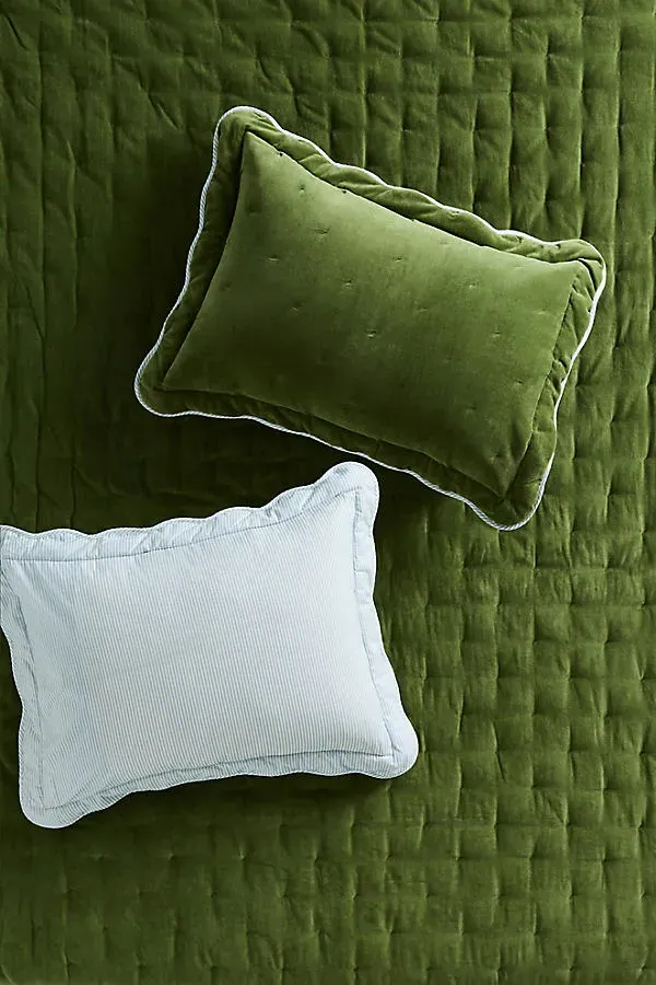 Abbott Queen Size Scalloped Shams Set of 2 - Green, Cotton Velvet product