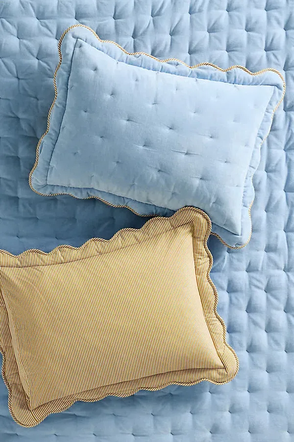 Abbott Scalloped Pillowcases Set of 2 - Blue, Cotton Velvet product