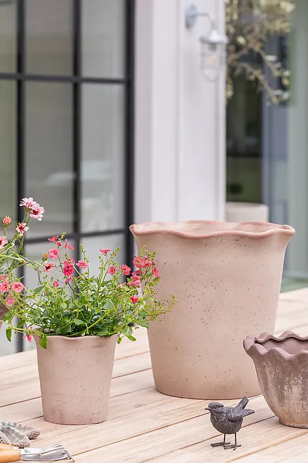 Ada Scalloped Edge Plant Pots Set of 3 - Terracotta, Clay product