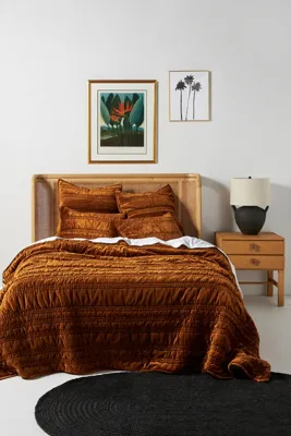 Alastair Euro Sham - Gold, Velvet product
