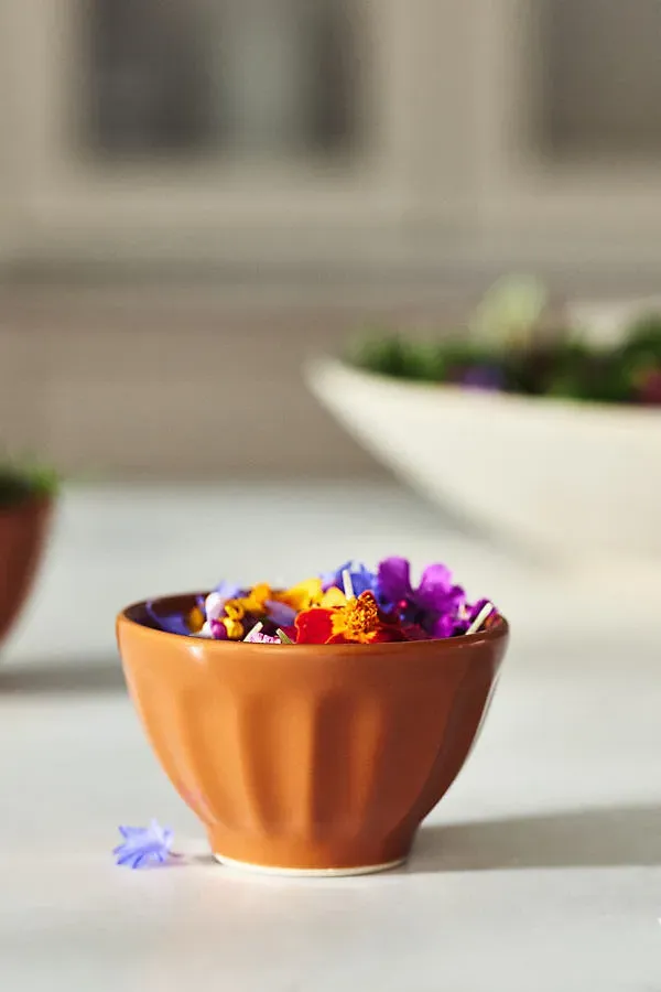 Amelie Latte Nut Bowls Set of 4 - Orange, Stoneware by Anthropologie