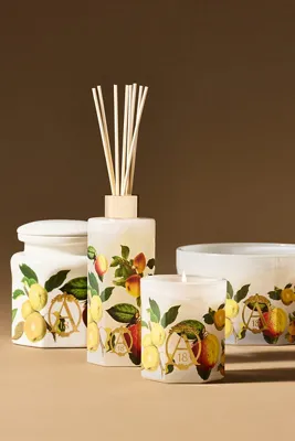 Apothecary 18 Harvest Apple & Vanilla Small Glass Candle product