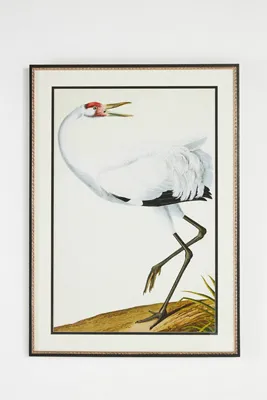 Audubon Blues Wall Art - Red product