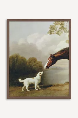 Bay Horse and White Dog Focus Wall Art - Green product