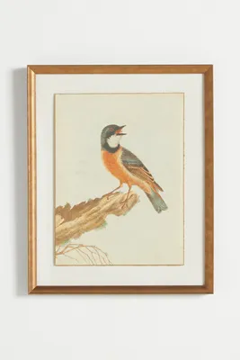 Birds of Autumn Wall Art - Orange, Matte Paper product