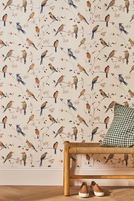 Birdsong Orange Trail Farmhouse Wallpaper product
