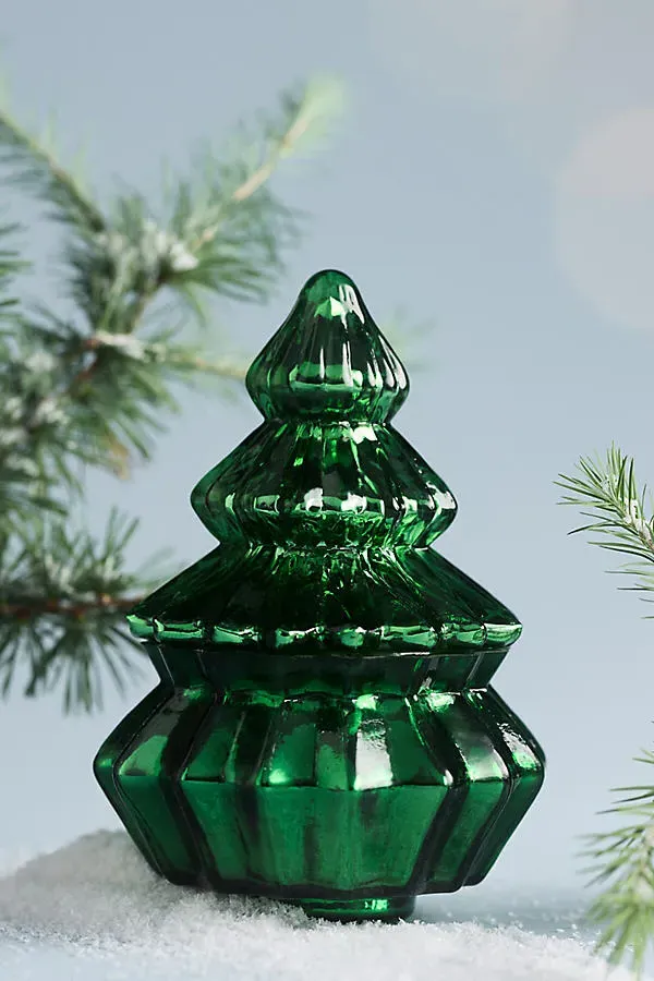Bright Trees Woody Fresh Balsam & Cedarwood Glass Candle - Green by Anthropologie