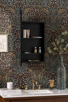 Colca Arch Mirrored Wall Cabinet with Storage - Silver product