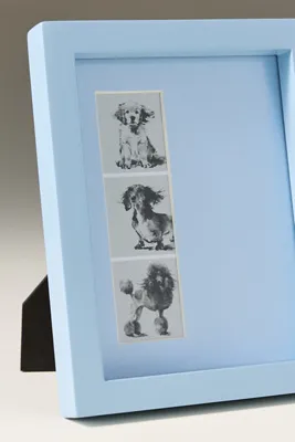 Color Drenched Photo Strip Frame - Blue, Wood by Anthropologie, alternate view