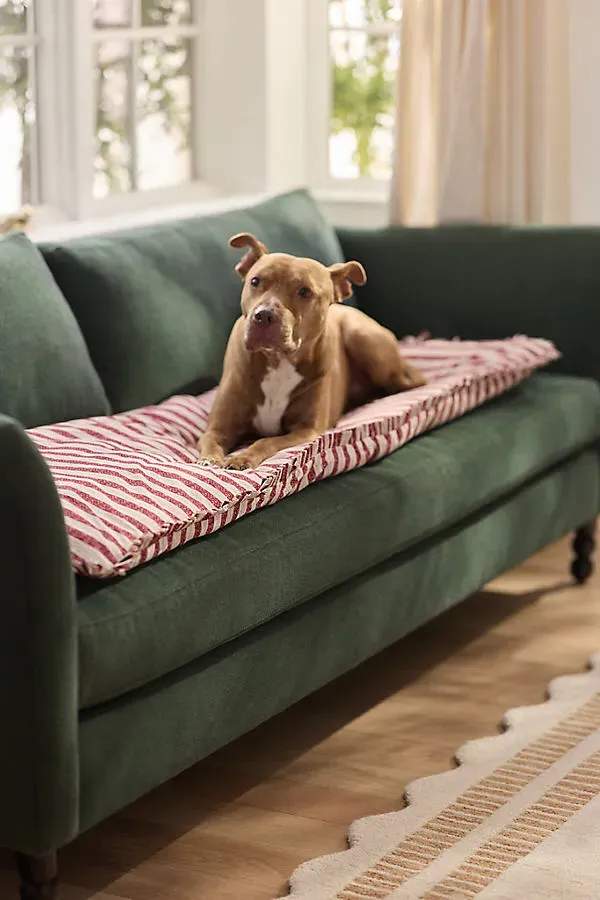 Cotton Printed Ruffle Sofa Topper - Cotton by Anthropologie