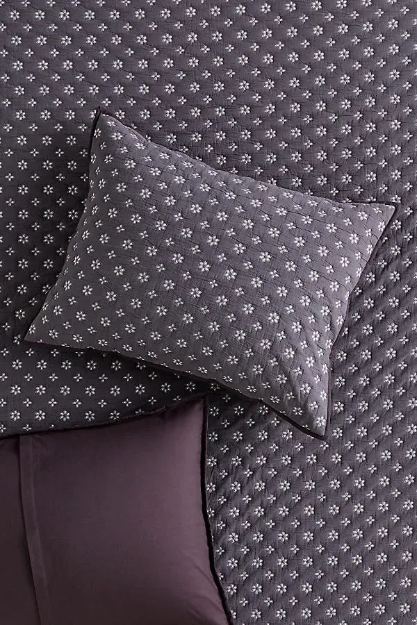 Cotton Reversible Eyelet Shams Set of 2 - Black product