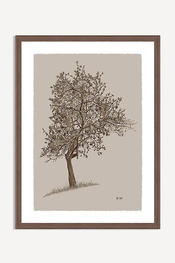 Deciduous Tree Wall Art - Brown product