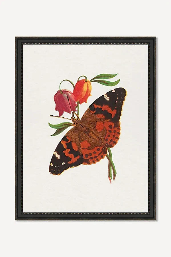Drammis Bright Butterfly Wall Art product