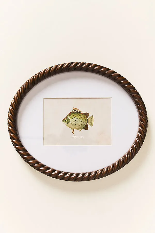Dual Matted Rope Fish Photo Frame - Green alternate view