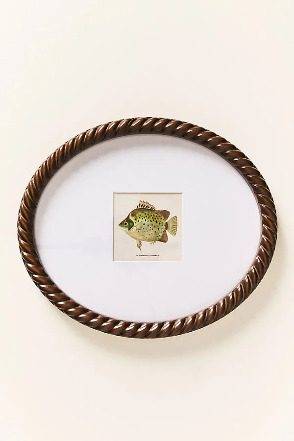 Dual Matted Rope Fish Photo Frame - Green product