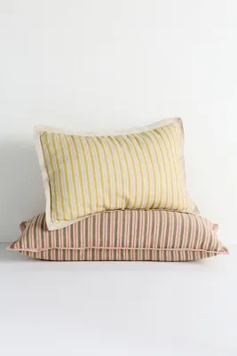 Emmett Cotton Printed Stripe Cushion product