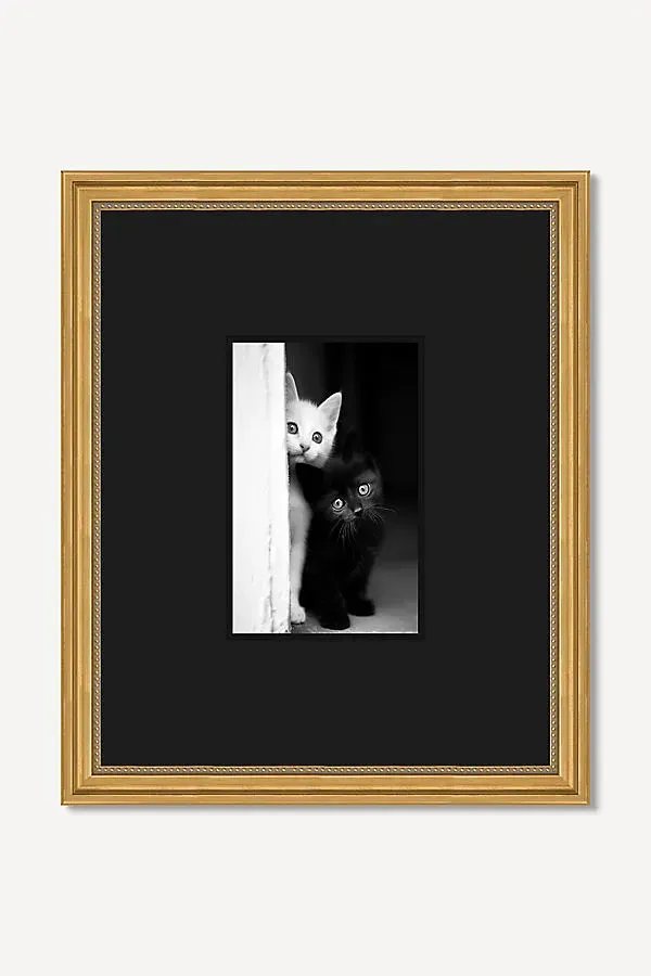 Feline Feature Peep Wall Art - Black, Acrylic product