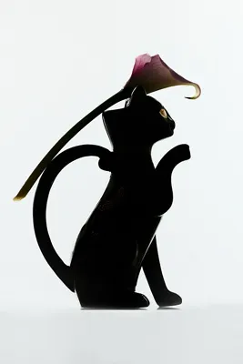 Florence Balducci Black Cat Stoneware Pitcher product