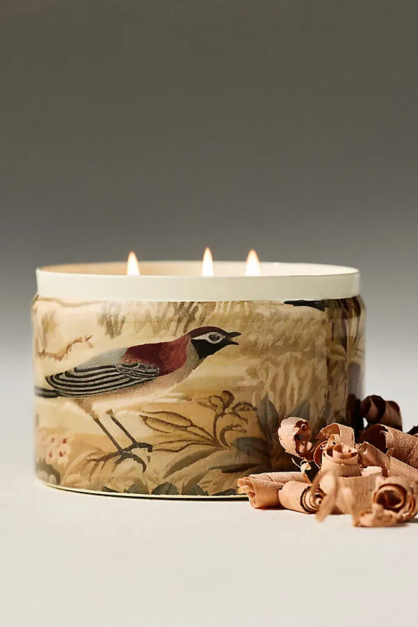 Francios Tapestry White Pine & Cashmere Tinned Candle - Beige by Anthropologie