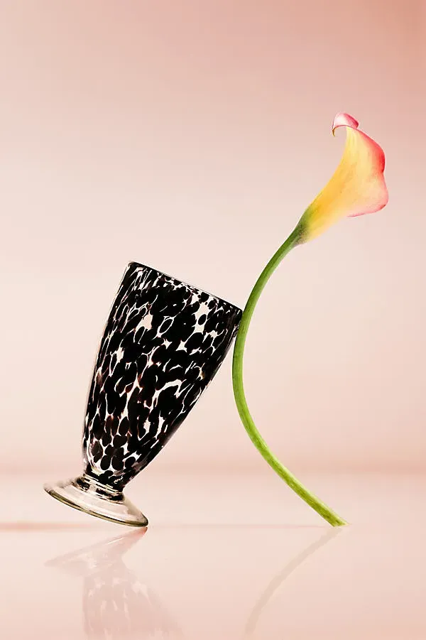Gia Tortoise Goblet - Black, Soda Lime Glass by Anthropologie