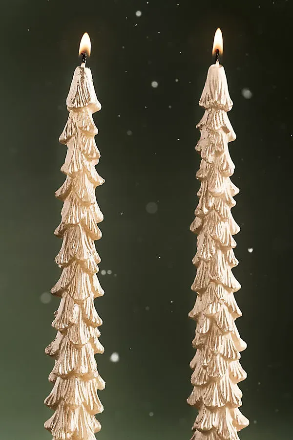 Golden Tree Taper Candles Set of 2 - Brown, Paraffin Wax by Anthropologie