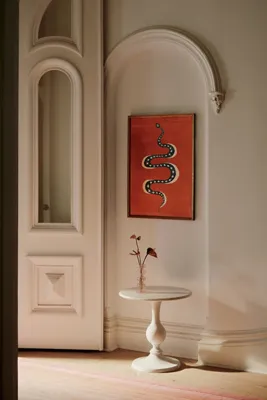 Ophidian Wall Art - Orange product