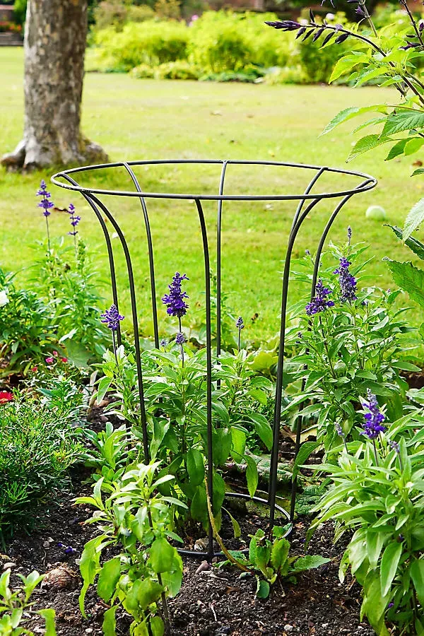 Outdoor Fluted Climbing Plant Support - Black product