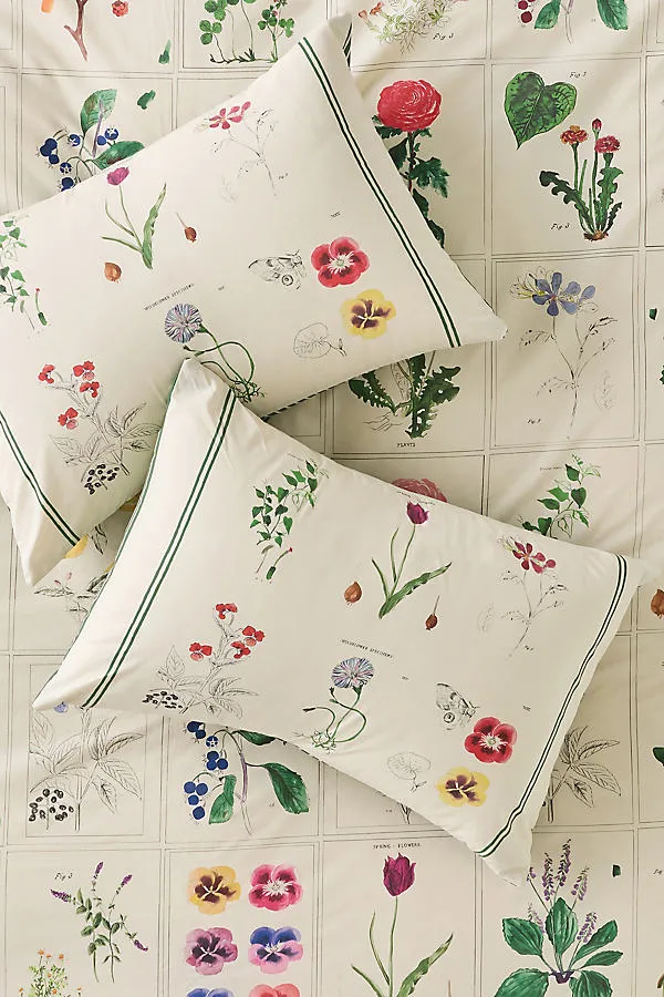 Printed Percale Pillow Shams Set of 2 - Beige, Organic Cotton by Anthropologie