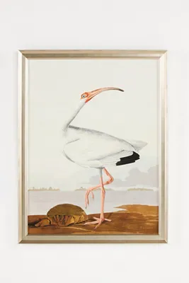 Regal Audubon Wall Art - White product