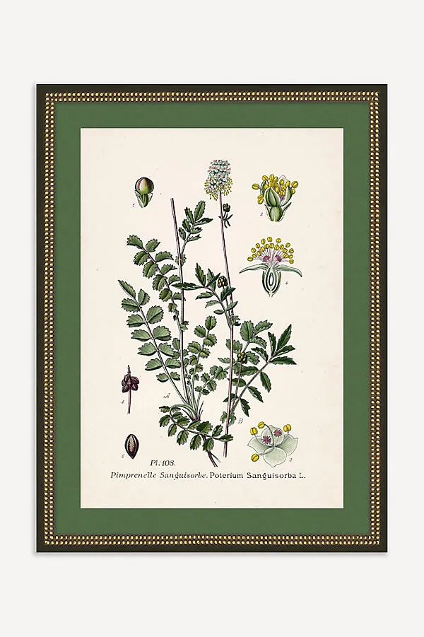 Wildflower Study Wall Art - Yellow product