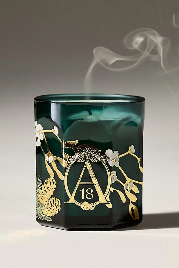 Apothecary 18 Mistletoe & Moss Boxed Glass Candle - Green by Anthropologie