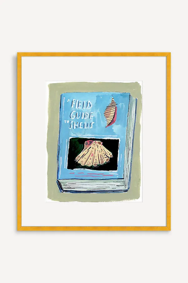 A Field Guide to Shells Book Wall Art product