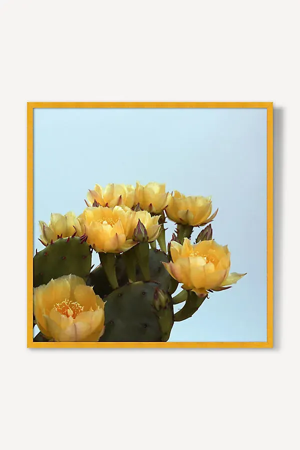 Alicia Bock Prickly Pear #3 Wall Art product