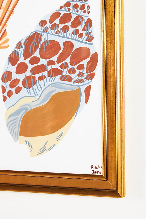 Bodil Jane Shells Wall Art product