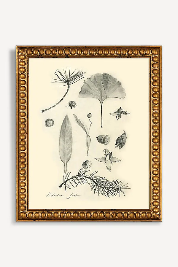 Botanical Sketch Wall Art - Beige product