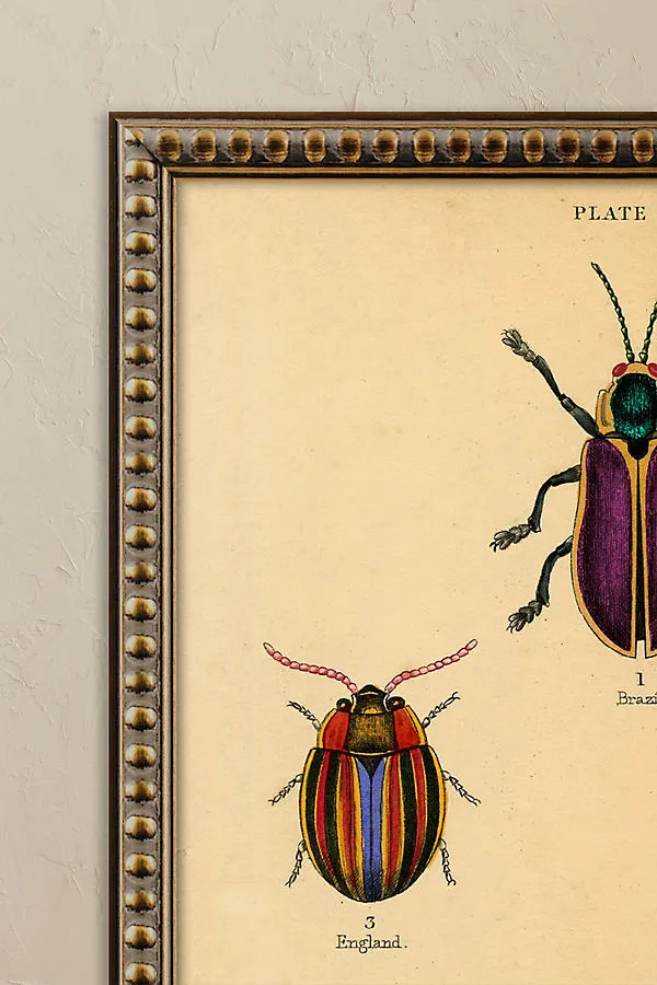Bugs by Wyatt Landesmann Framed Wall Art product