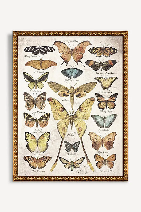 Butterflies and Moths Wall Art - Yellow product