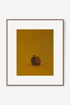 Carolyn Reed Barritt Pomegranate Wall Art product