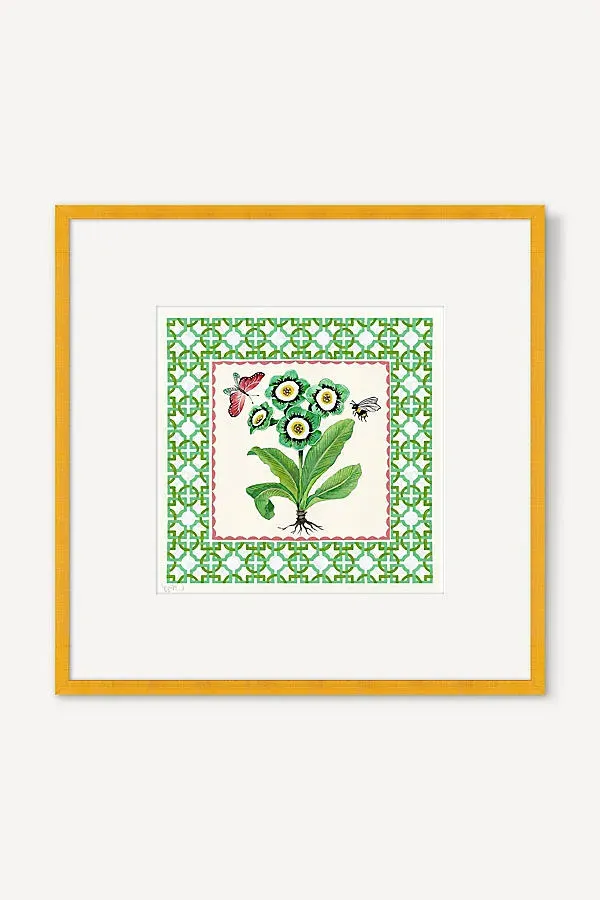Charlotte Hogg Primula Auricula Benny Green Wall Art product