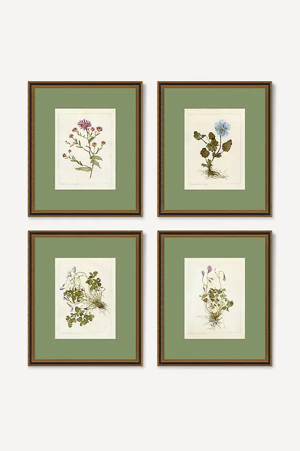 Classic Botanical Gallery Wall Art - Fine Art Paper by Anthropologie
