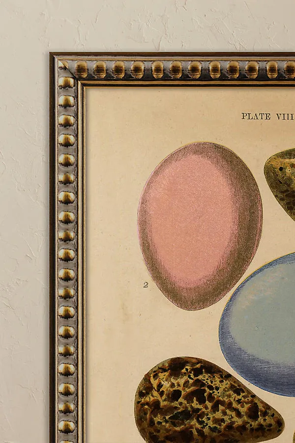 Eggs by Wyatt Landesmann Framed Wall Art product