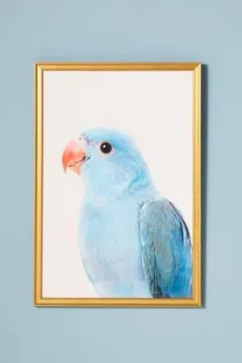 Kathrin Pienaar Blue Parrot Wall Art product