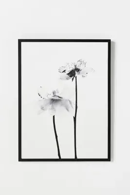Magda Izzard Still Wall Art - Black product