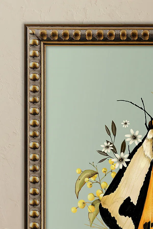 Moth and Berries by Nicola Evans Framed Wall Art product