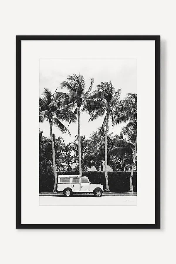 Palm Tree Nomad Wall Art product