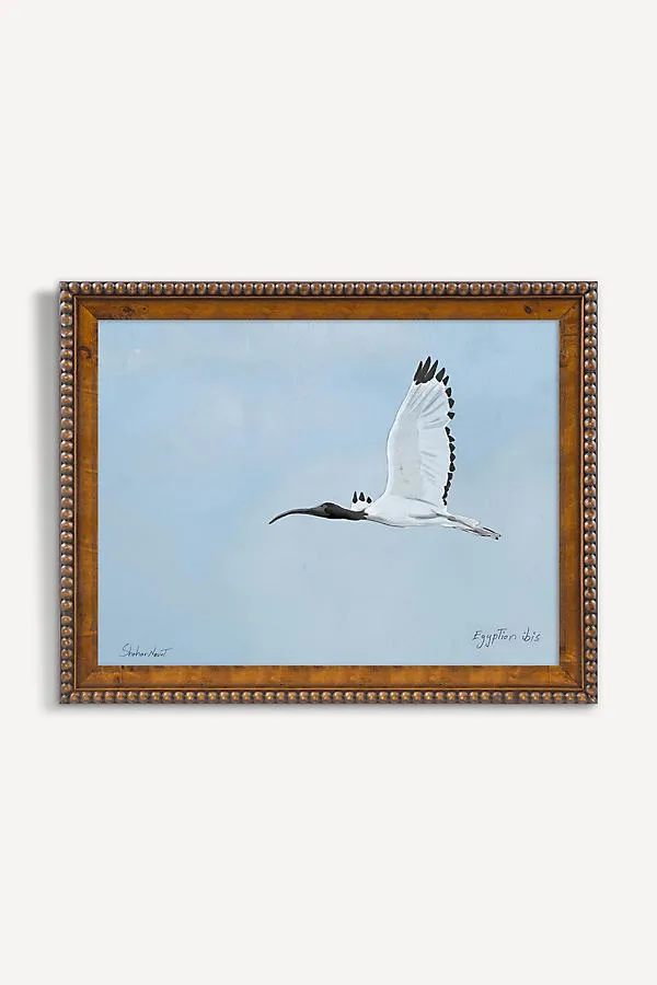 Shahar Navot Egyptian Ibis Wall Art - Blue product