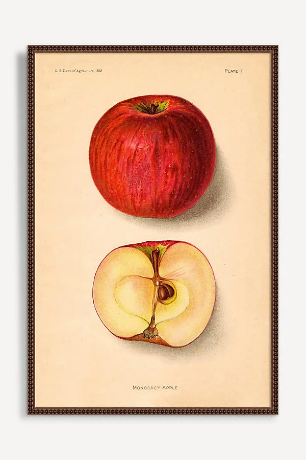 Wyatt Landesmann Apples Wall Art product